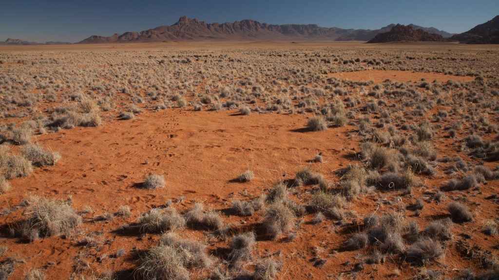 Dos de los círculos mágicos del desierto de Namib.
