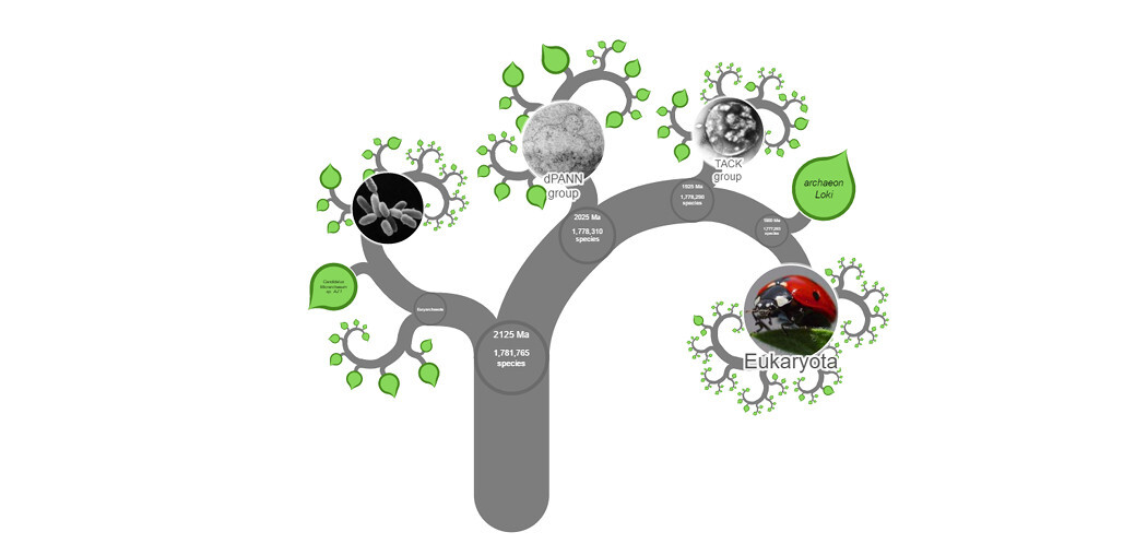 arbol vida 1