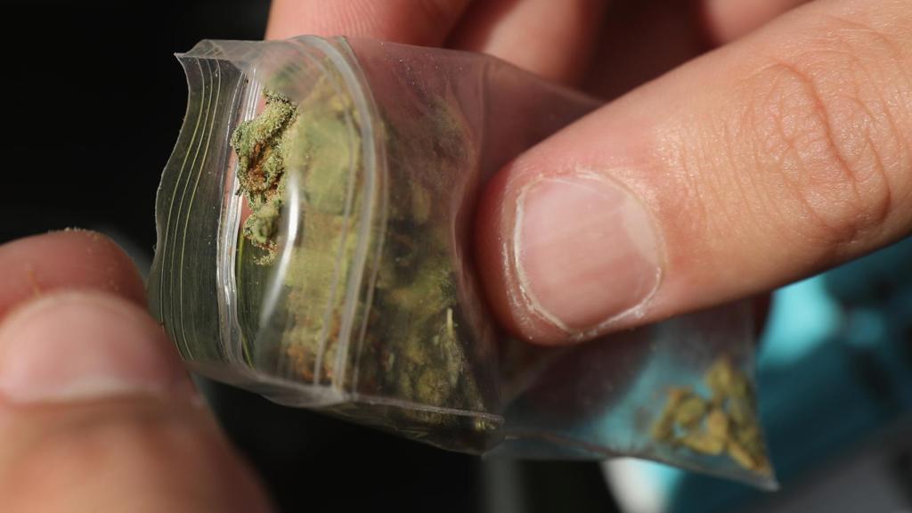 Un cogollo de marihuana.
