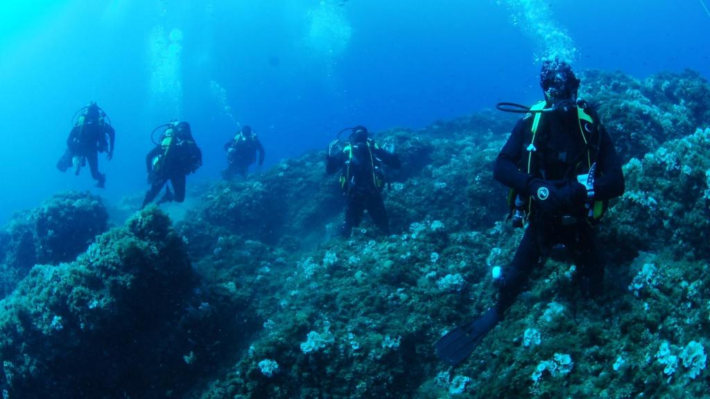 Efectivos de la Armada española en una misión de inspección de un pecio.