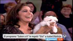 'Espejo Público' descubre quién le regaló su perra a Isabel Pantoja