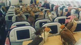El grupo de 80 halcones dentro del avión.