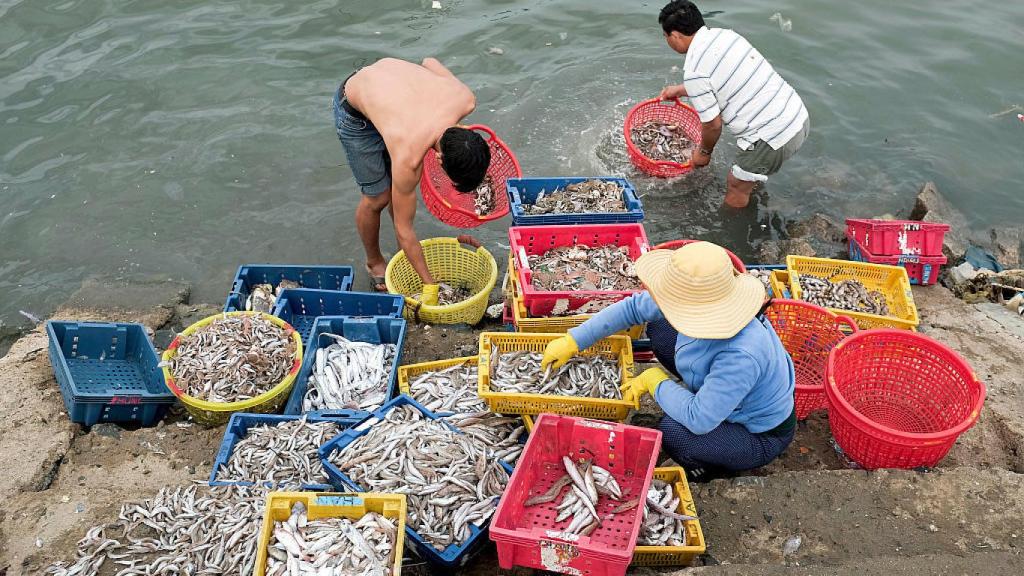 Pescadores vietnamitas clasifican sus capturas.