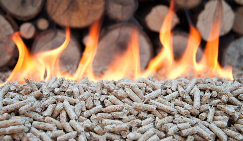 biomasa-forestal-combustion