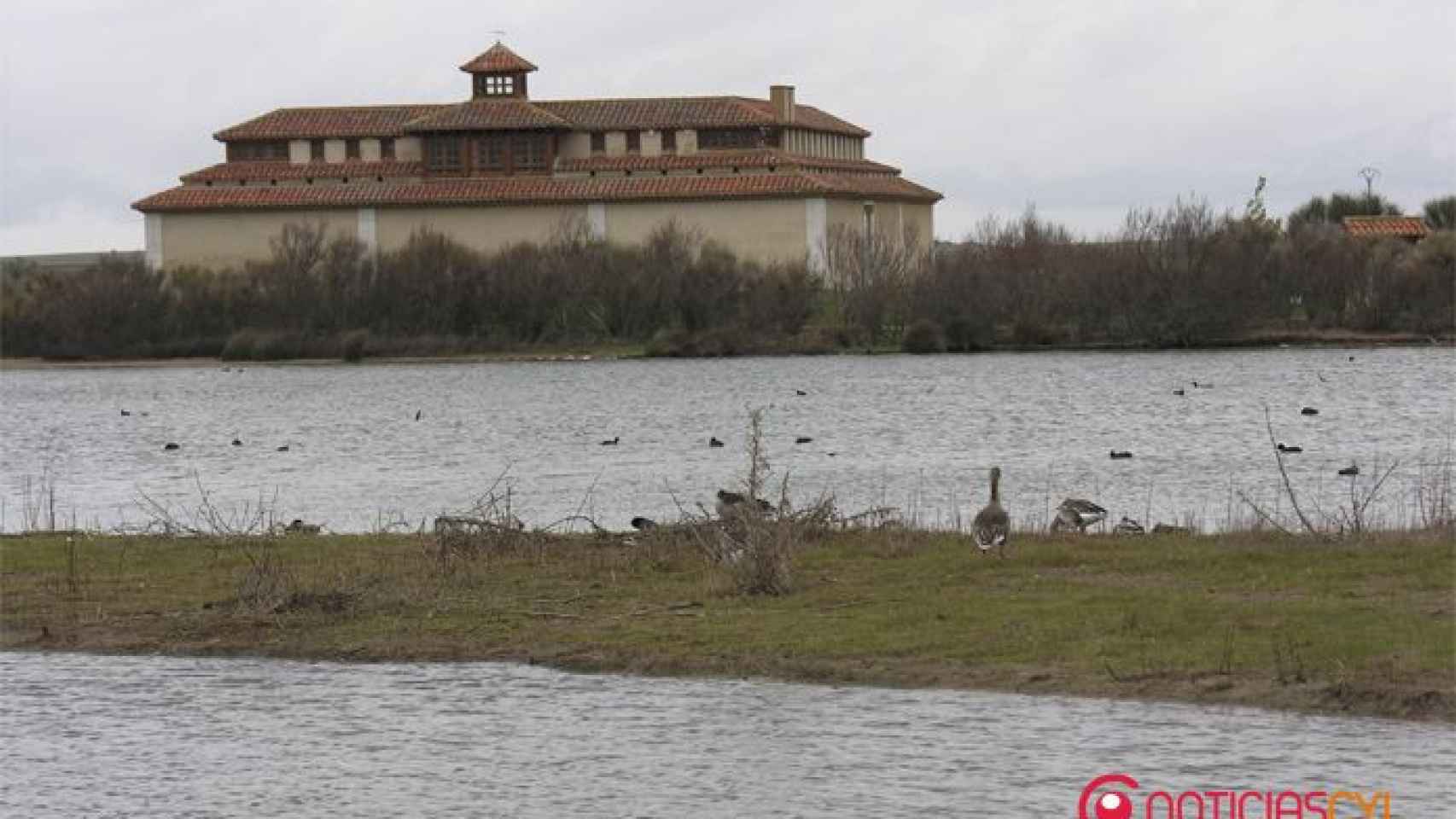 Lagunas de Villafáfila, Enjoy Castilla y León