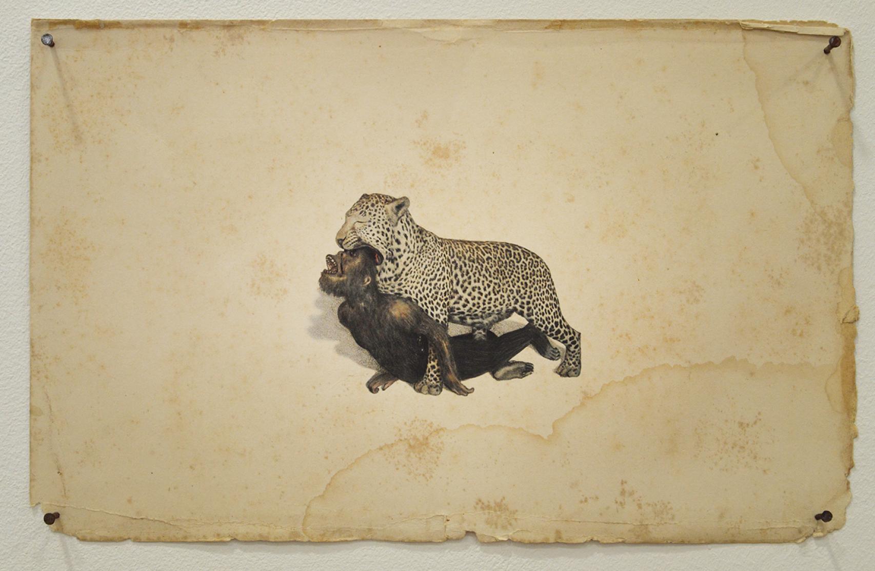 Obra de Juan Zamora incluida en Bajo el cielo de la boca de un Leopardo.