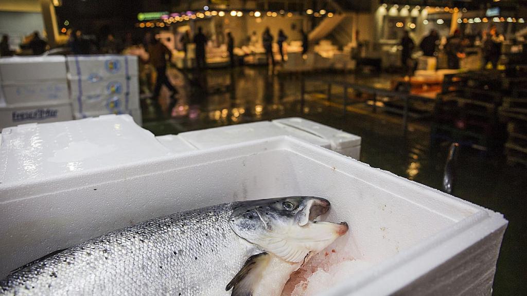 Un salmón fresco en Mercamadrid.