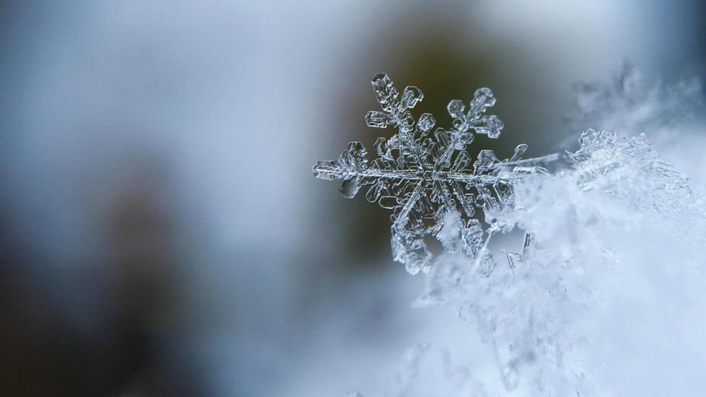Un copo de nieve.