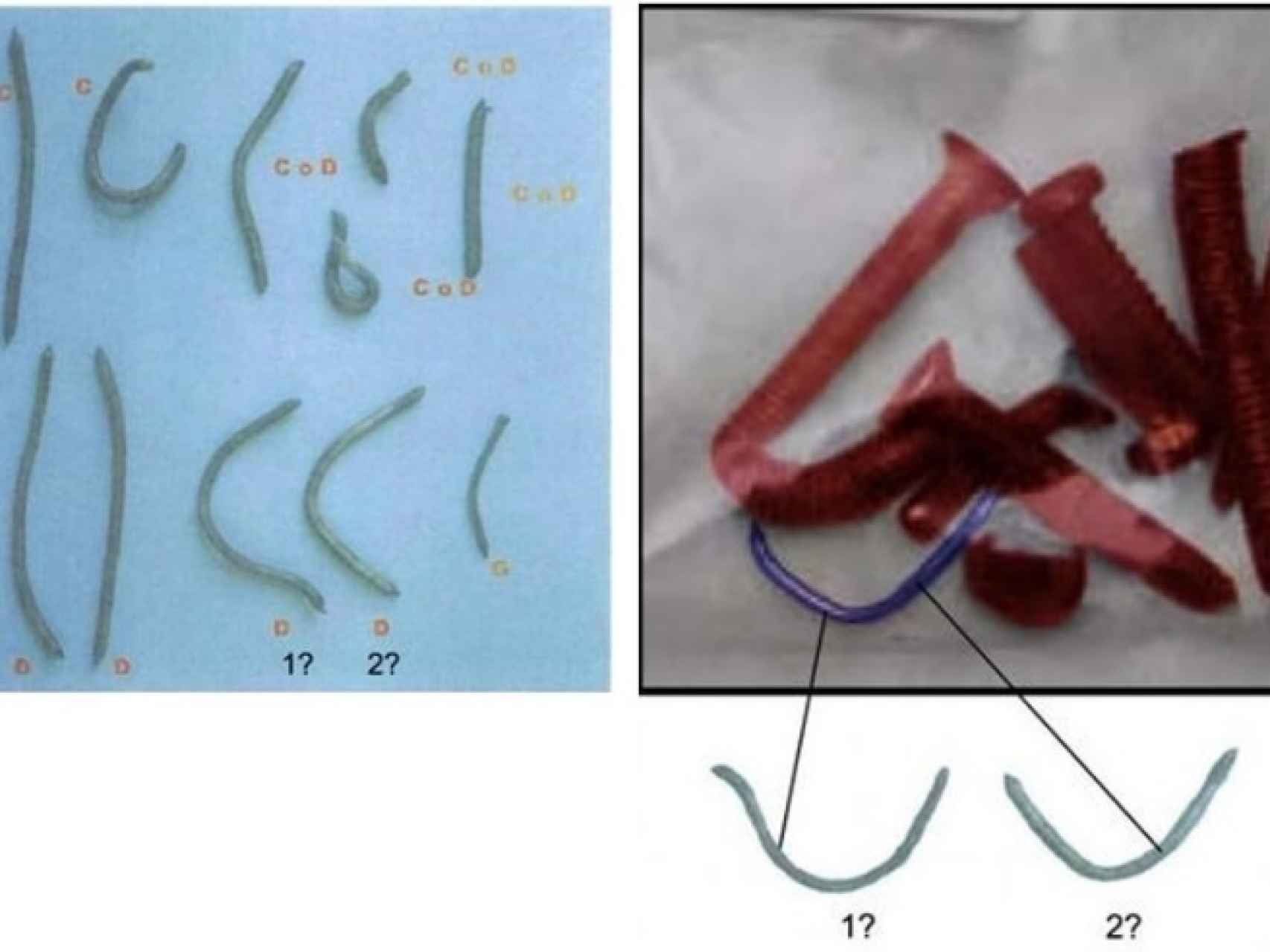 Imágenes de las muestras M-6-9. Izquierda, en 2005; derecha, en 2007.