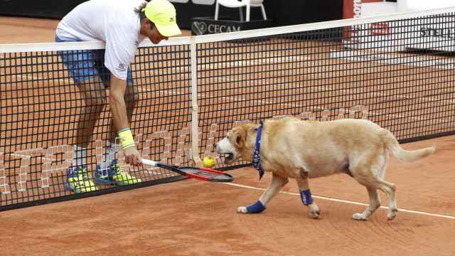 Demoliner recibe una pelota de uno de los perros.