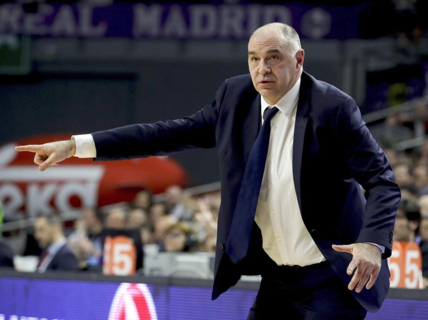 Pablo Laso en el partido frente al Estrella Roja.