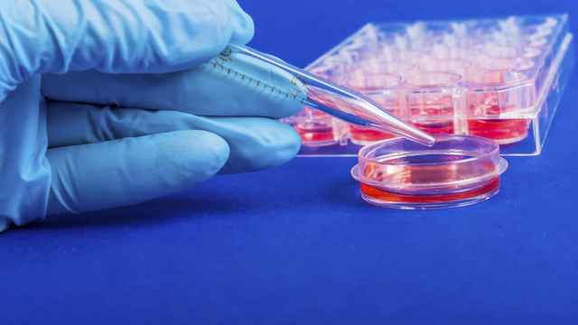 Científicos consiguen recrear un ciclo menstrual artificial en laboratorio