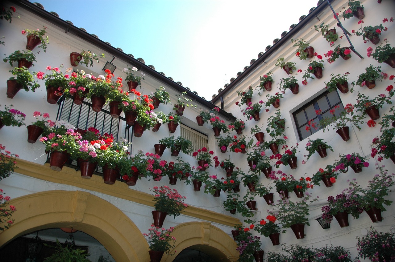 cordoba