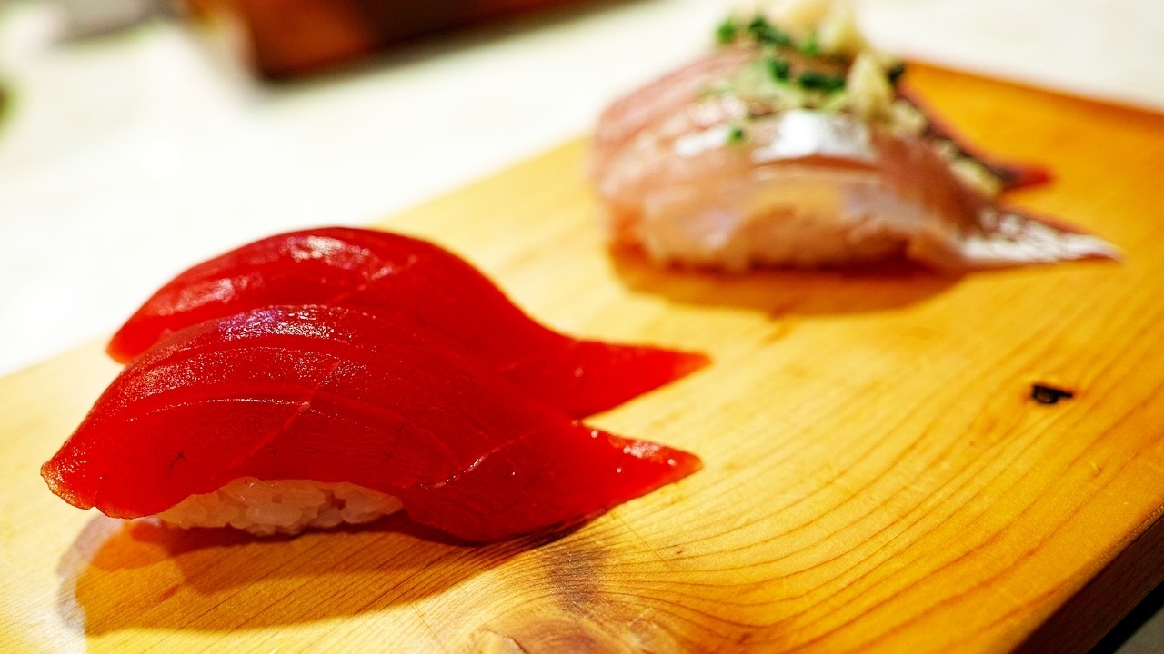 atun_rojo_01