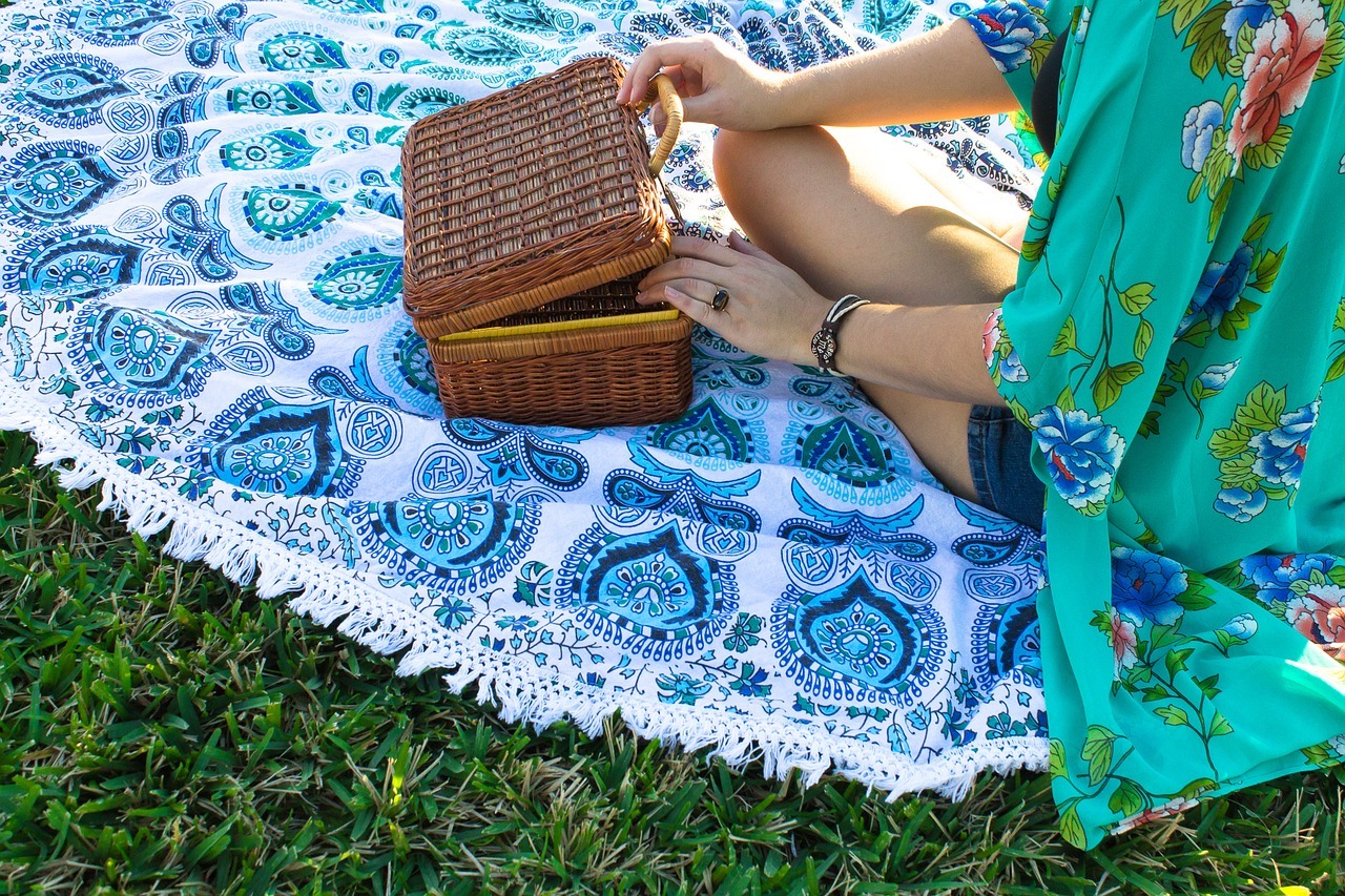 organizar un picnic 1