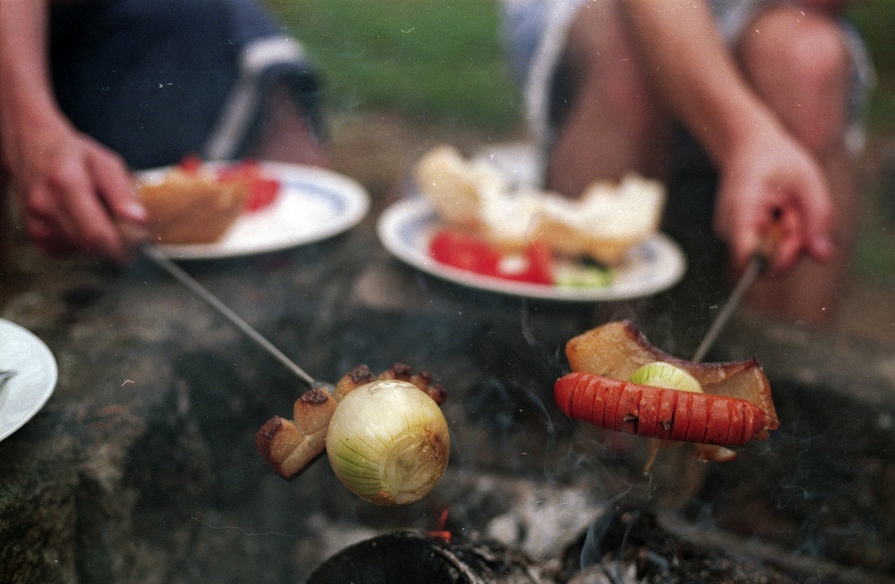 organizar un picnic 8