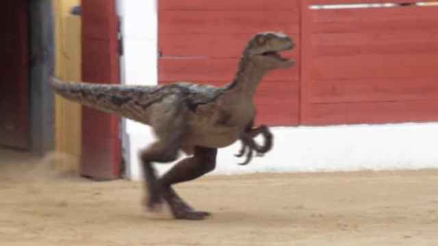 Fotograma del vídeo, con el velociraptor montado, recién salido de toriles