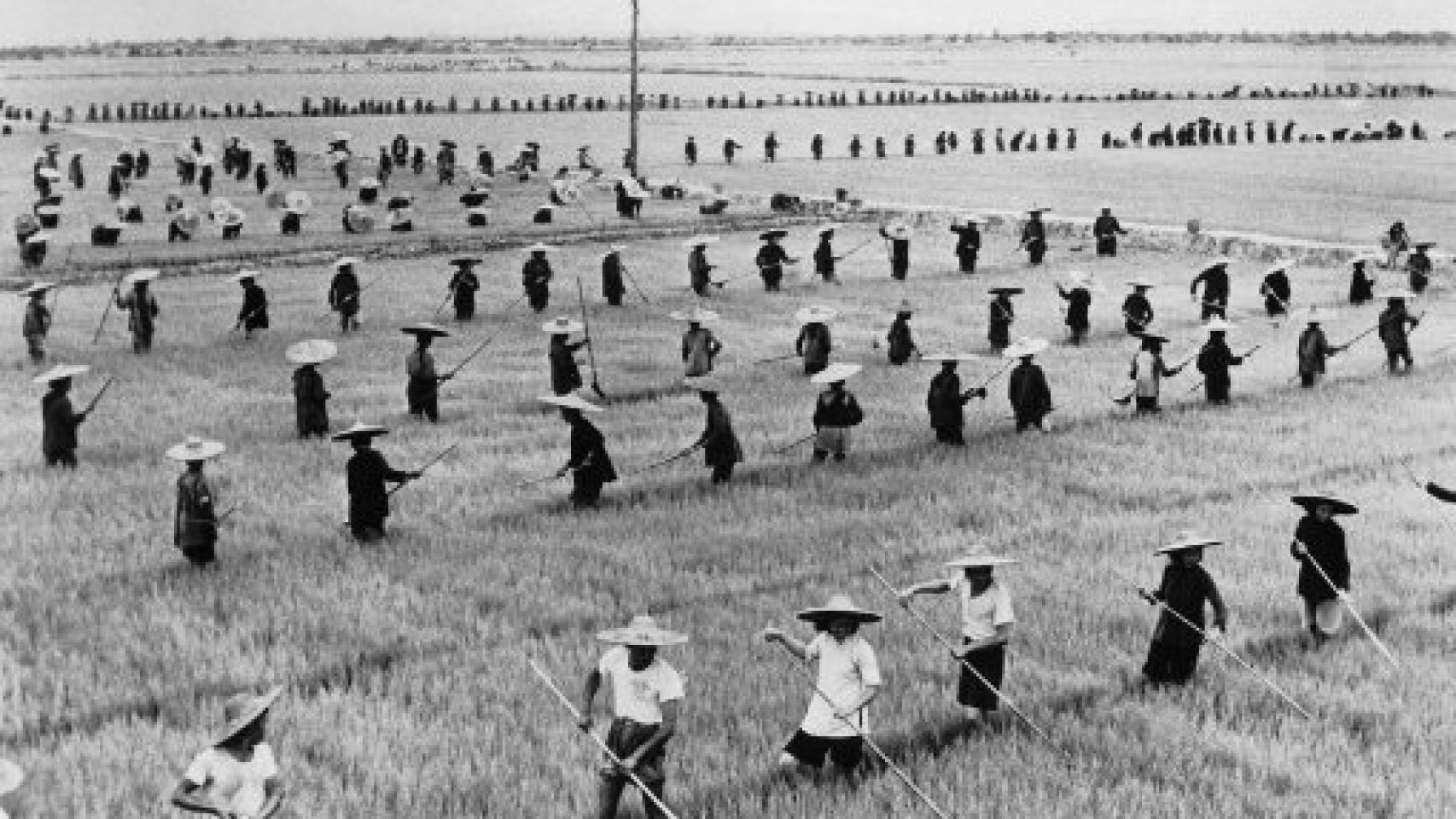 La gran hambruna en la China de Mao