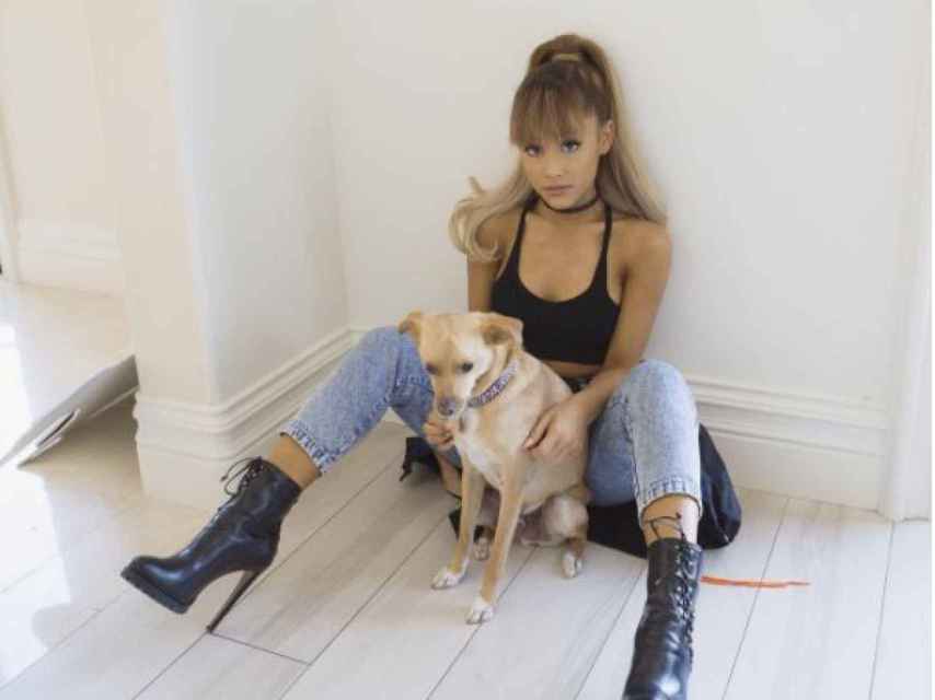 Ariana Grande con uno de sus perros rescatados de un albergue.