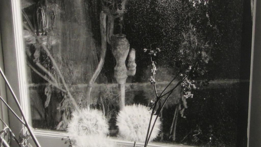 Minor WHITE. 72 N. Union Street%2c Rochester 1958. Courtesy Howard Greenberg Gallery NY
