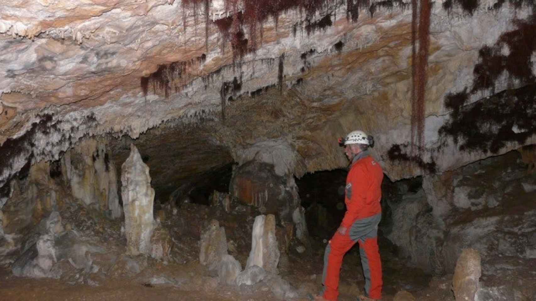 cueva atapuerca burgos visitas 1