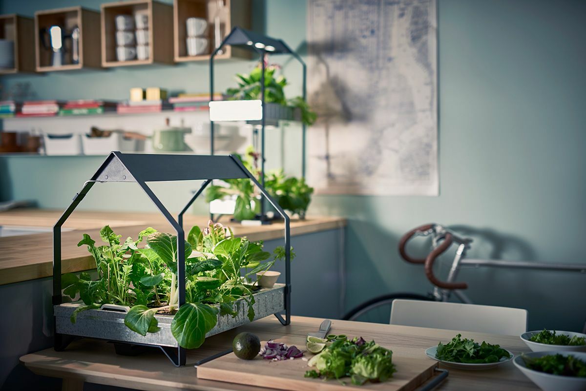 decorar-la-cocina-con-plantas-3