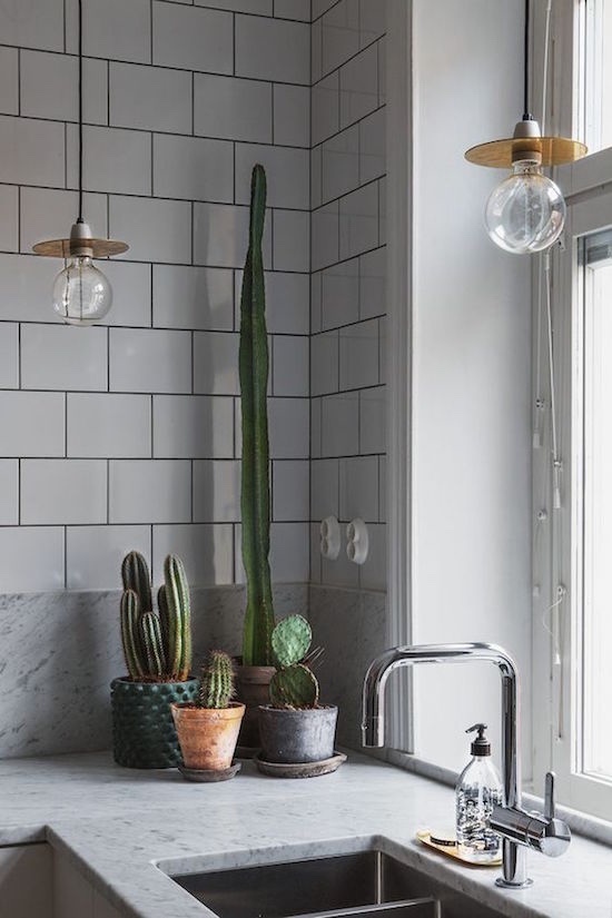 decorar-la-cocina-con-plantas-4