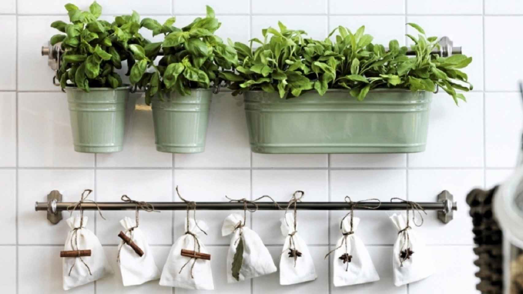 cinta silbar Banzai 8 ideas originales para decorar la cocina con plantas