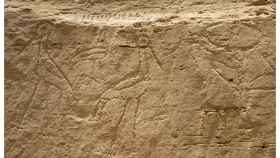 Elefantes embarazados: hallan los jeroglíficos egipcios más antiguos