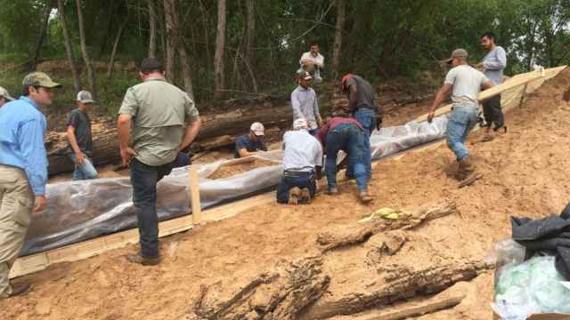 Un grupo de voluntarios, liderados por dos arqueólogos, protegen la canoa
