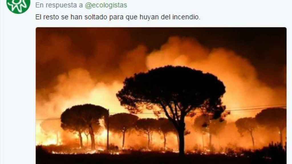 Ecologistas informa de la suelta de linces pra huir del fuego