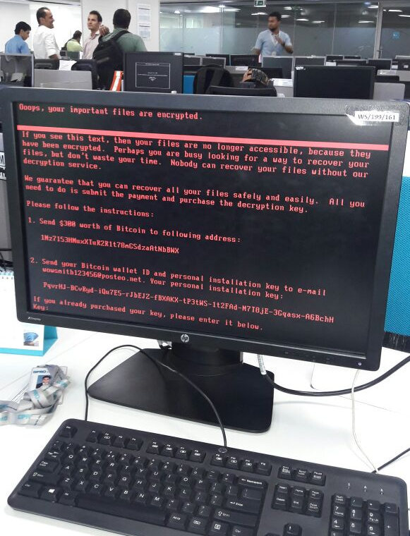 petya 1