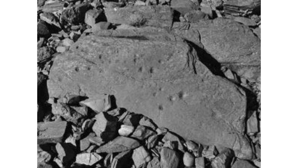 Petroglifos esculpidos en la roca