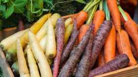 Colourful carrots