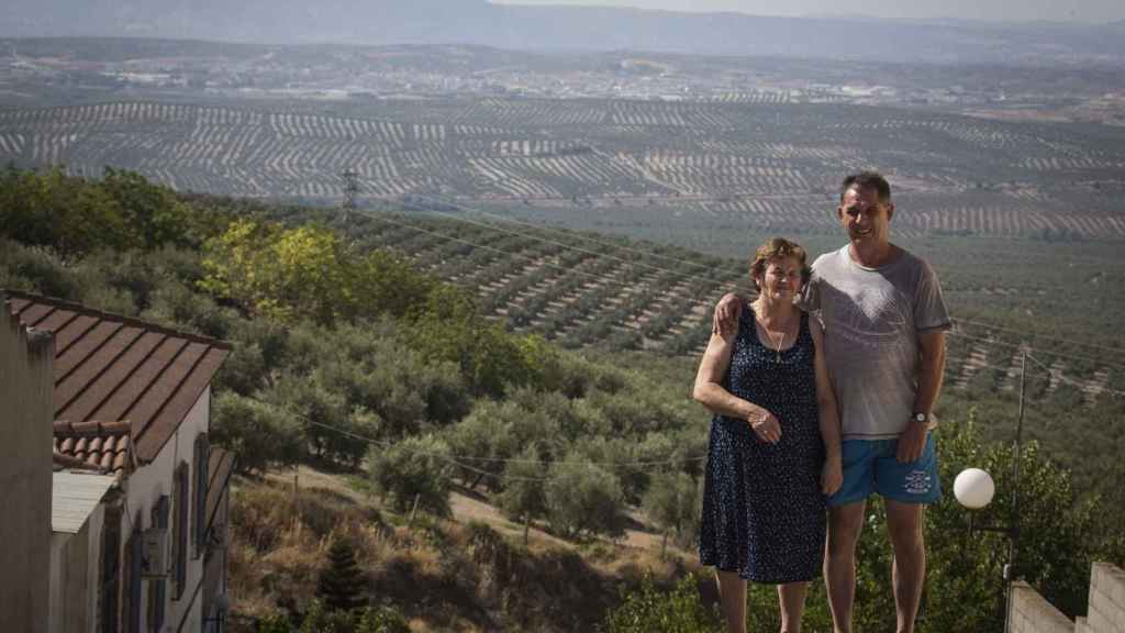 Las familias de la provincia de Jaén que trabajan en los olivares tienen miedo