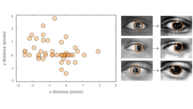 inteligencia artificial apple ojos sinteticos refinado dibujo