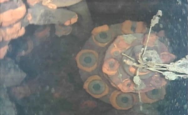interior fukushima reactor 3