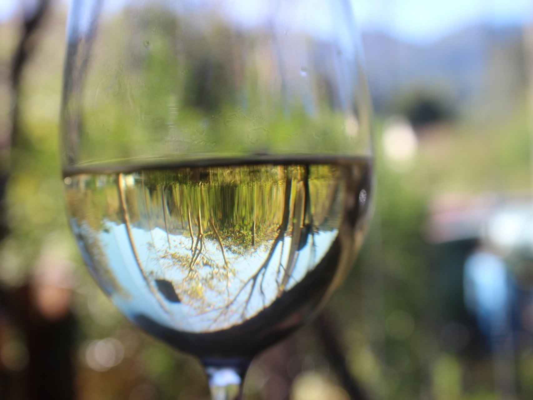 La primavera cabe en una copa de vino blanco.