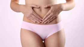 El estómago es el órgano encargado de hacer la digestión.