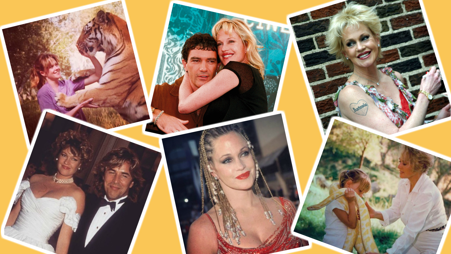 Los 60 años de Melanie Griffith: de la fauna salvaje a la paella española