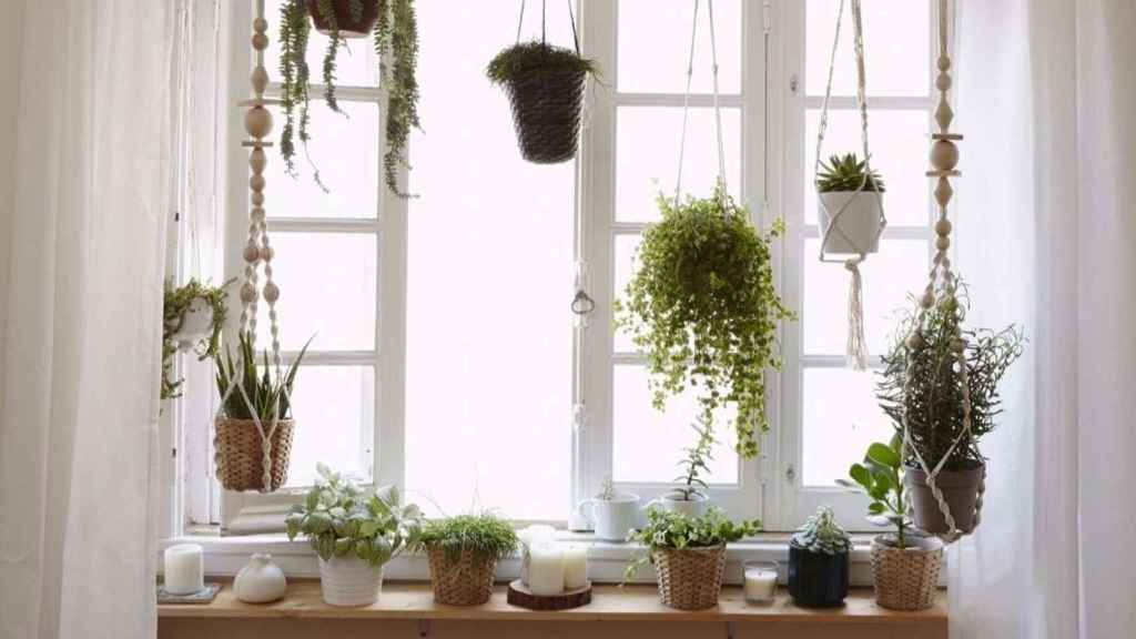 Crear pequeños jardines en las ventanas es la forma de hacer que la naturaleza entre en tu casa. | Foto: Ikea.