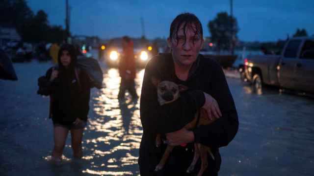 Una mujer sostiene a su perro en Houston, mientras es evacuada por las lluvias.