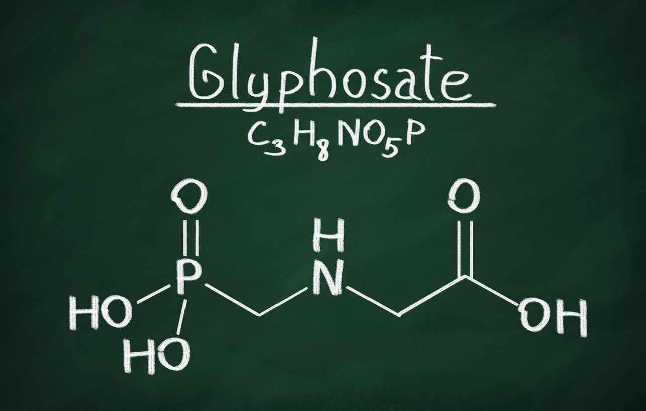 Structural model of glyphosate molecule