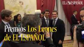Premios Los leones de EL ESPAÑOL