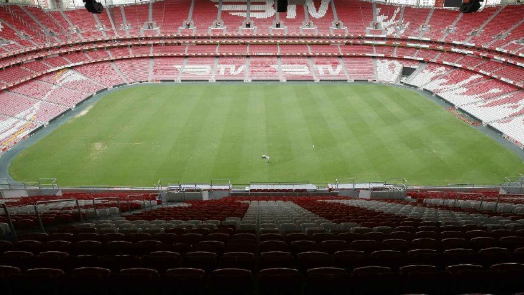 El Estadio Da Luz albergaría la gran final como en 2014
