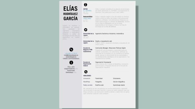 curriculum vitae