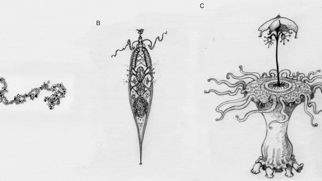 La hipótesis de la evolución del octomita.