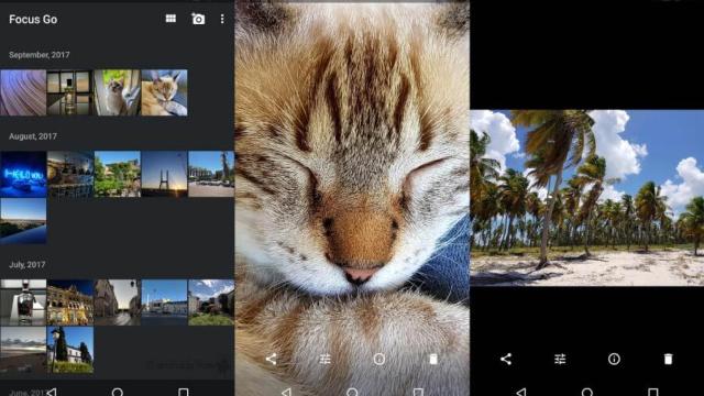 Focus Go es una nueva aplicación de galería con lo esencial