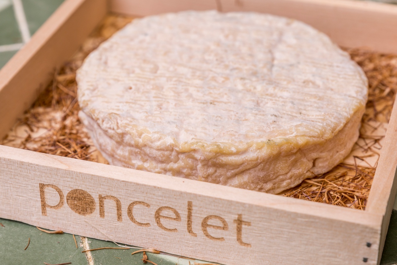 Foto Ecir 1 - Poncelet