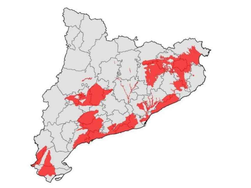 Las zonas de Cataluña con el agua más contaminada por excrementos y orina de cerdos
